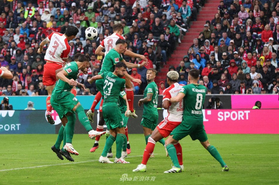 积极的态度 积极的态度